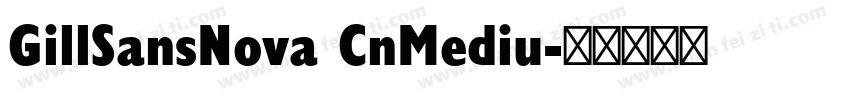 GillSansNova CnMediu字体转换